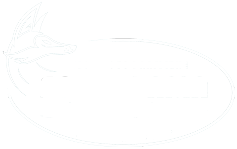 Fotogama – Studio fotograficzne